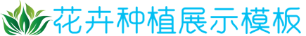 DG视讯游戏官方,DG视讯官方网站